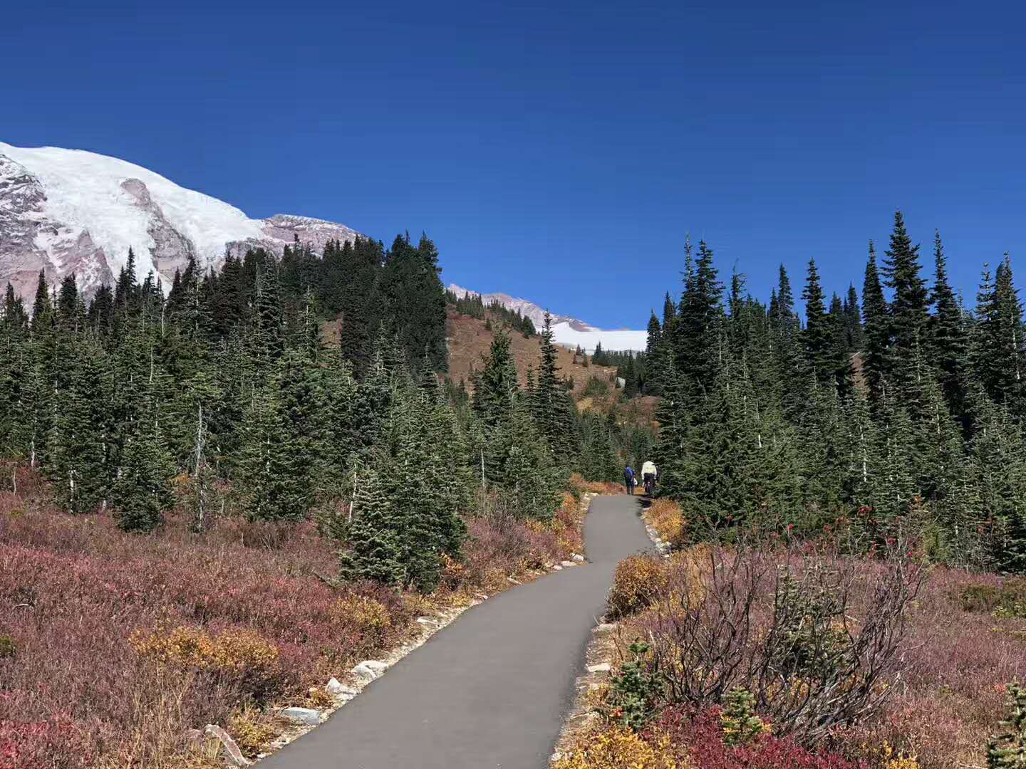 美國 西雅圖德國村+雷尼爾火山國家公園 2日遊